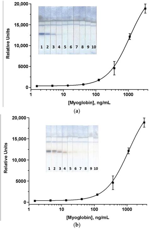 Highly Sensitive Immunochromatographic Detection of Porcine Myoglobin ...