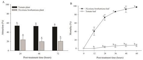Insecticidal Activity of Nicotiana benthamiana Trichome Exudates on the ...