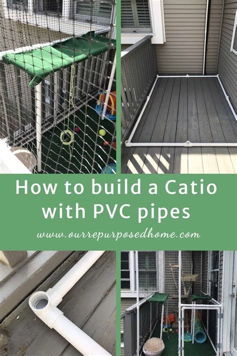 Image result for PVC Cat Enclosure