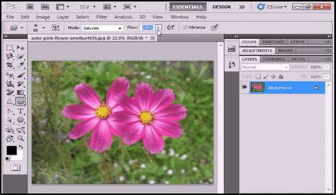 Image result for How to Use PS CS6