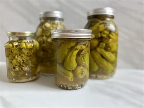 Pickled Pepperoncini Pepper Recipe | Recipe in 2024 | Pickled ...