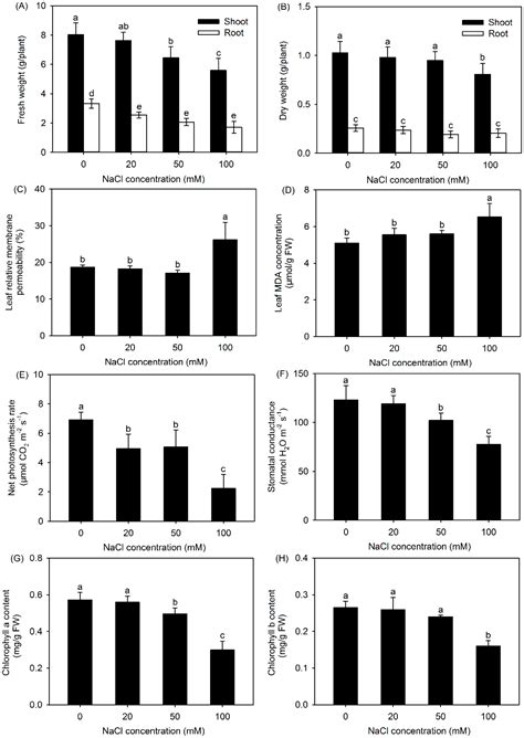 Transcriptomic Profiling Identifies Candidate Genes Involved in the ...