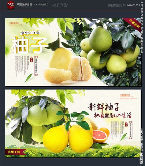 过年为什么要吃柚子？柚和“有”谐音，怎样挑选好吃的柚子？__凤凰网