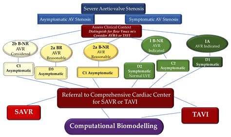 Biomechanics of Transcatheter Aortic Valve Implant