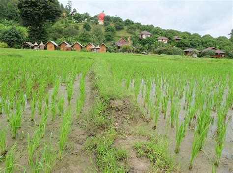 BMP FARM HOUSE - All You Need to Know BEFORE You Go 2026 (with Photos ...