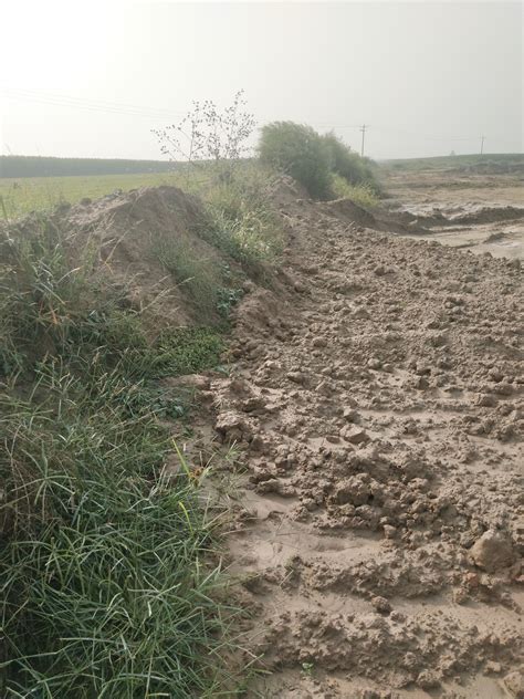 泾县自然资源和规划局成功制止三起破坏耕地挖塘行为-宣城市自然资源和规划局