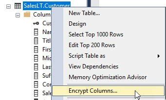 SQL Always Encrypted Retrieve Encrypted Column 的图像结果