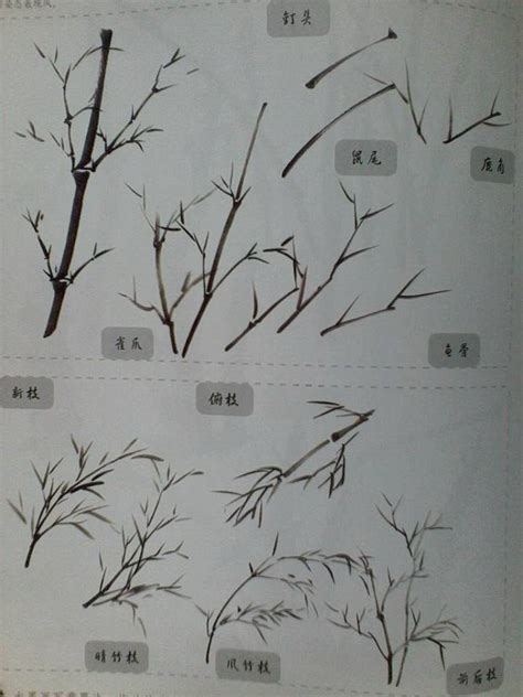 Trees Chinese and Japanese Painting에 있는 핀