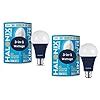 Buy Halonix All Rounder Base B22D 15W, 8W, 0.5Watts Multi Wattage ...