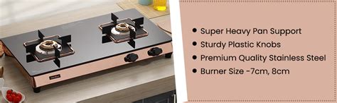 RICH FLAME Gas Stove 2 Burners | 2 Years Warranty, ISI Certified | Gas ...