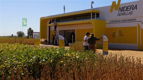 “Este es el año del maíz”: Nidera apuesta fuerte a la recuperación del ...