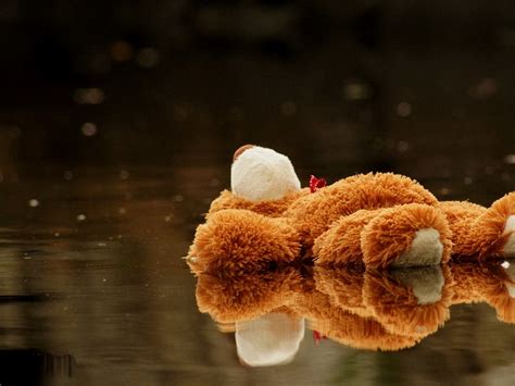 Download wallpaper 1400x1050 teddy bear, toy, pool, water standard 4:3 ...