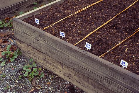 Image result for Goat Poop Fertilizer