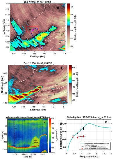 Optimal Automatic Wide-Area Discrimination of Fish Shoals from Seafloor ...