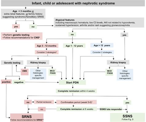 Image result for Lymphgen Algorithm