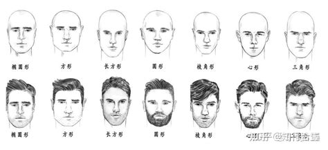 七大脸型的认识,七种基本脸型及示意图,测试脸型适合的发型_大山谷图库