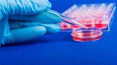 Scientific Experiments 的图像结果