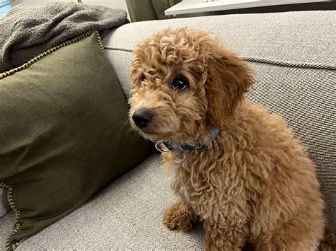 Slideshow: iPhone 13 Camera Samples