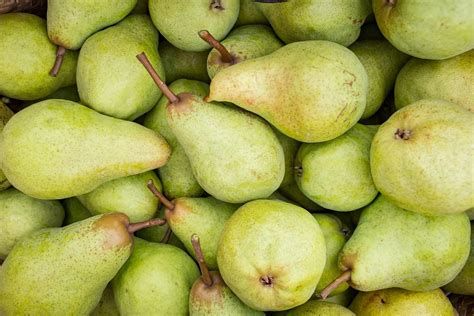 5 Of The Most Amazing Health Benefits Of Eating Pears - Sustain Health Magazine