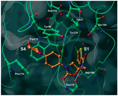 Novel Anthranilamide-Based FXa Inhibitors: Drug Design, Synthesis and ...