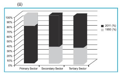 NCERT Solutions for Class 10 Economics Chapter 2 Sectors of the Indian ...
