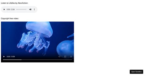 Image result for HTML Audio Coding