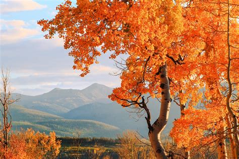 Image result for Fall Ceiling Design for Hall