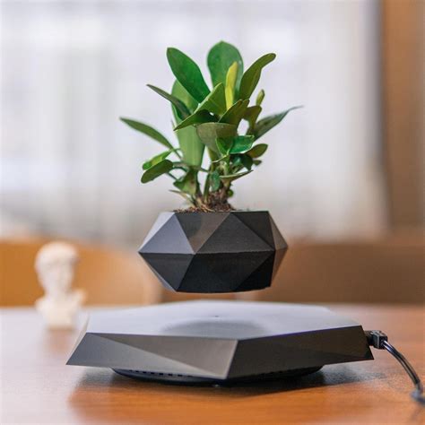 Amazon.com : HCNT Levitation Air Bonsai Pot, Magnetic Levitating Mini ...