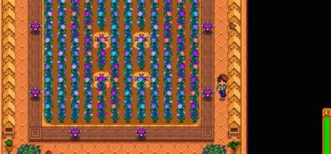 Stardew Valley Duck Feathers: Uses & How To Get Them - FandomSpot