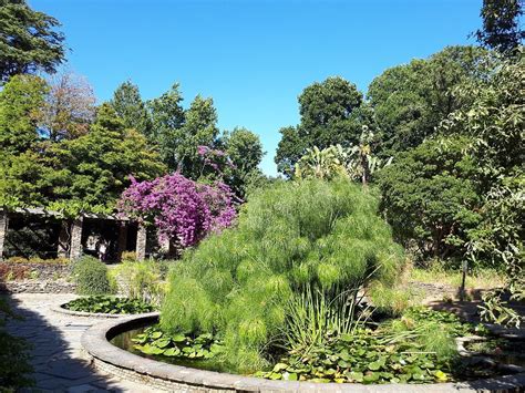JARDIM BOTÂNICO DO PORTO (2024) All You Need to Know BEFORE You Go ...
