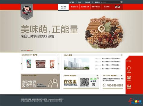 案例展示--伍玖壹网络企业网站建设|企业建站|企业网站模板