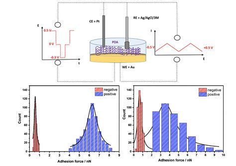 Physicochemical and Electrochemical Characterization of ...