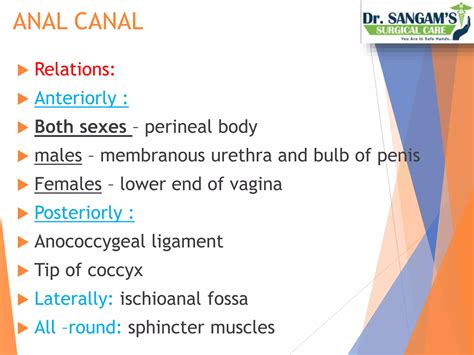 Anatomy of rectum and anal canal | PPTX