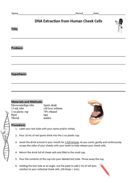 DNA Extraction Lab Report 的图像结果