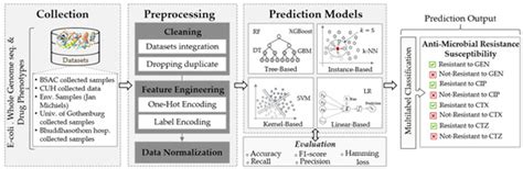Multi-Label Classification for Predicting Antimicrobial Resistance on E ...