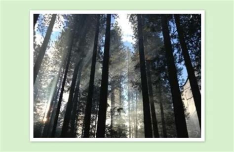 Slide Backgrounds HTML CSS 的图像结果