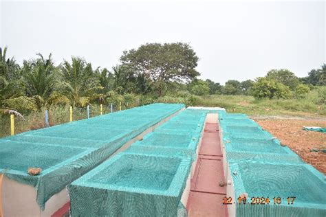 Theni Centre for Sustainable Aquaculture (Theni CeSA)- Home