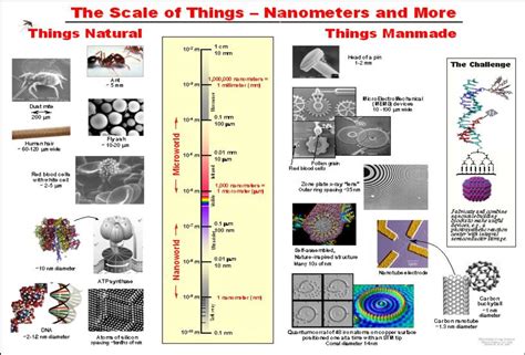 Nano Technology Explained 的图像结果