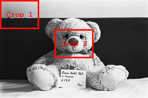 Image result for Image Scanner Vs Camera