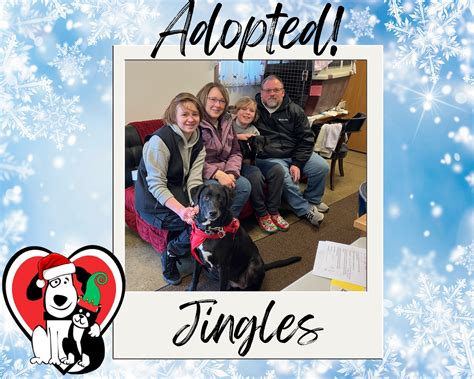 Four Footed Friends (@fourfootedfriends) • Instagram photos and videos