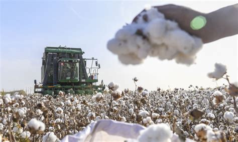 Cotton Production in India- Types & Advantages