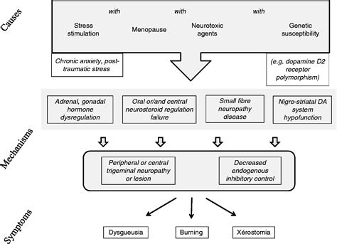 Burning Mouth Syndrome Causes And Treatment - Infoupdate.org