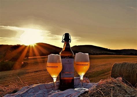 BRAUHOF HALLENBERG (2026) All You Need to Know BEFORE You Go (with ...