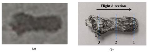 Microstructure Evolution and Deformation Mechanism of Tantalum–Tungsten ...