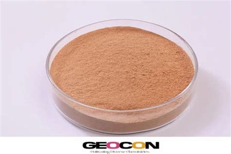 Food Enzymes - Soy Tofu Enzyme Service Provider from Mumbai