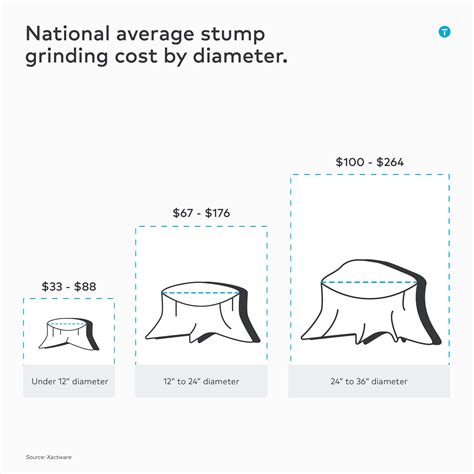 2025 Tree Removal Costs | Professionals Explain Key Price Factors