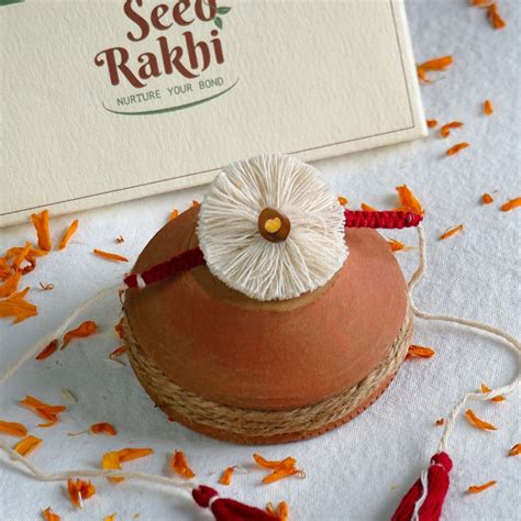 Order Online Organic Rakhi Hamper from Indigifts