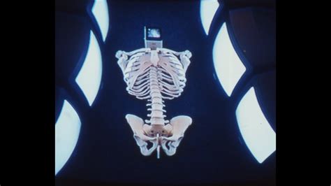 Image result for How to Copulate