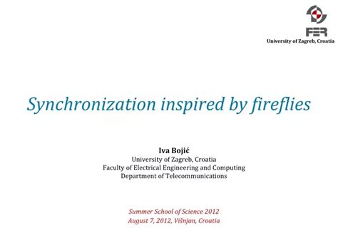 Image result for Firefly Synchronization