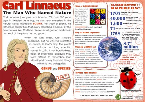 Image result for Carl Linnaeus Classification System
